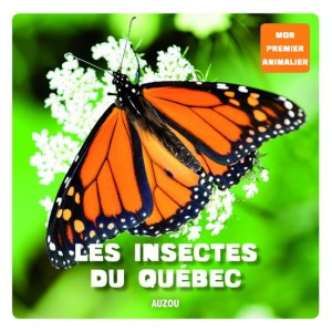 Les Insectes du Québec